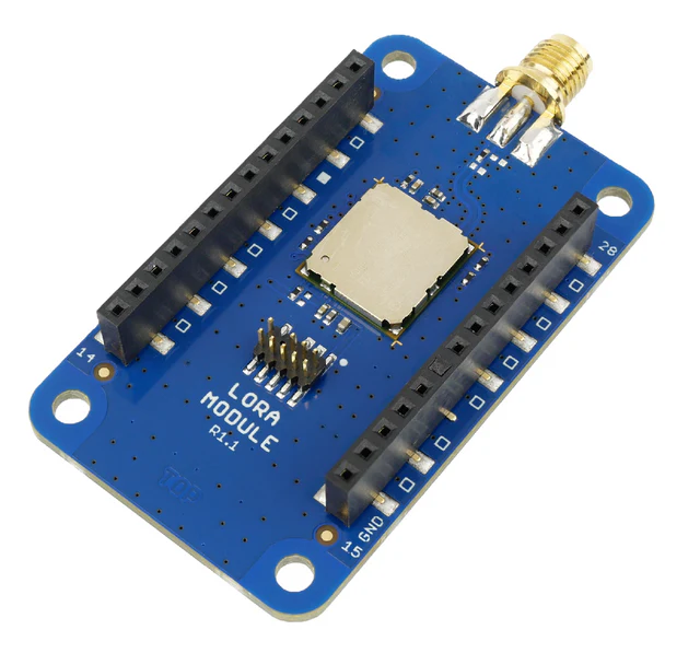 LoRa Module